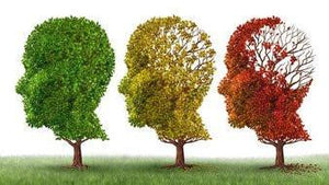 Vitamin B6 deficiency linked to cognitive decline: Study